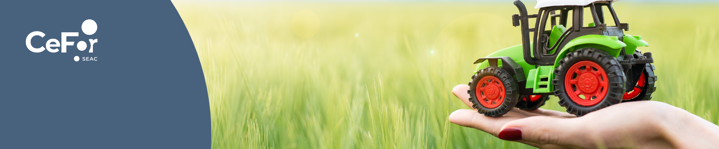 banner interno